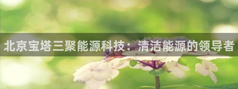 sunbet手机app版