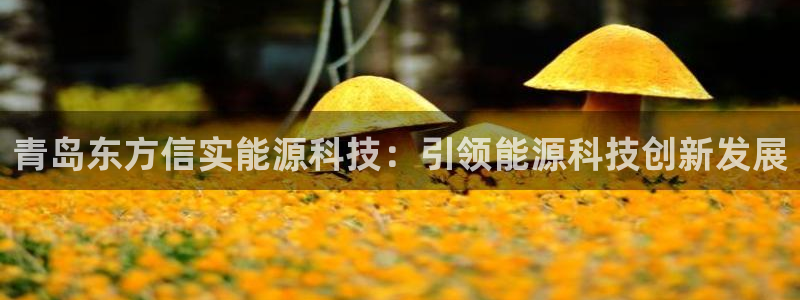 sunbet手机版官网下载