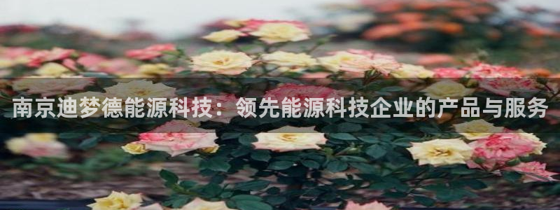 sunbet安卓下载
