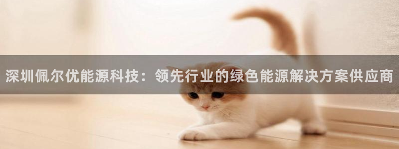 sunbet源码