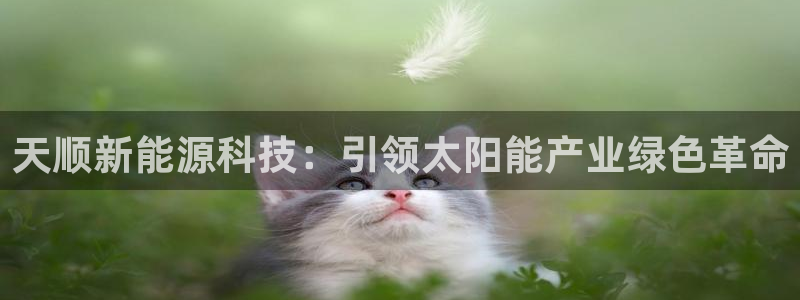 sunbet申搏平台