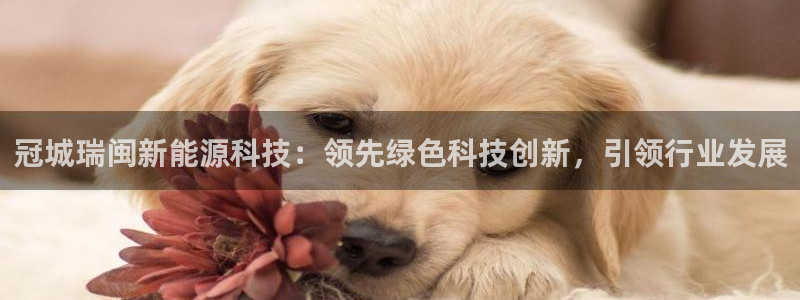 sunbet手机端