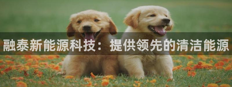 sunbet靠谱吗